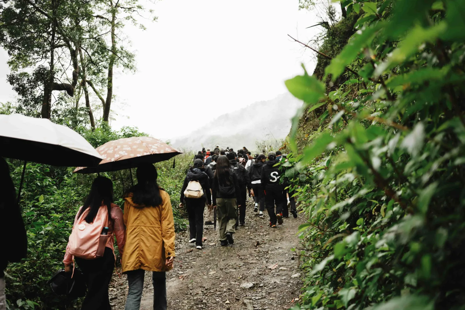 A scenic walk to the potato farm
